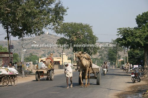 Streets Of Jaipur