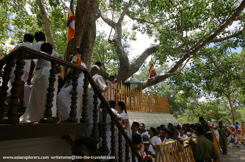 Pilgrims queuing