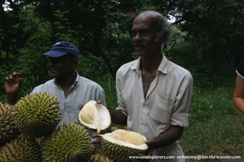 Sri Lanka Durians